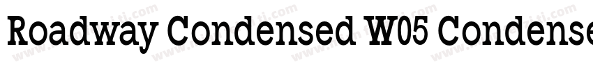 Roadway Condensed W05 Condensed字体转换